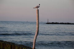 07-2005urlaubkoserow-021