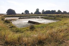 IMG_20240831_105731