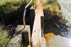 IMG_20240831_105828
