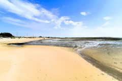 IMG_20240831_110259