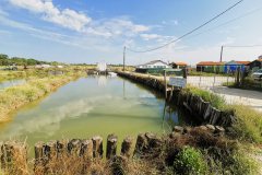 IMG_20240831_110910