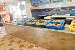 IMG_20240831_120407