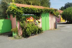 IMG_20240831_131150