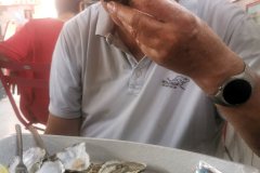 IMG_20240831_140612
