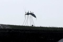 IMG_20240831_143348